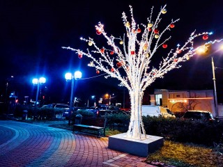 В Пущине к Новому году «выросли» светящиеся деревья