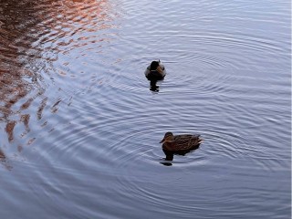 Гололедица и до 3°С тепла: синоптики рассказали о погоде в Подмосковье 18 декабря