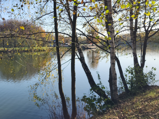 Голосуем за Южный: электростальцы могут отдать голоса за очистку пригородного водоема
