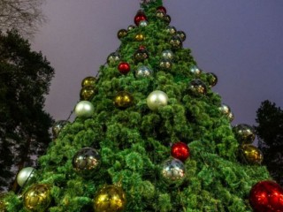 Серпантин, кино и дискотека: в Талдомском округе 1 января можно увидеть «Сокровища гномов» и потанцевать