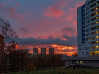 Солнце в дефиците: как пережить самую темную часть зимы без вреда для здоровья