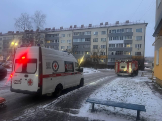 Когда счет идет на минуты: в Шаховской спасатели подключились к эвакуации пострадавшей женщины