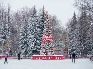 Как забронировать сеанс на искусственные катки Подмосковья