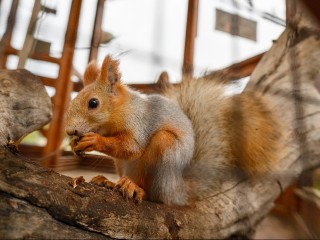 В Подмосковье похолодает до +1 градуса в выходные