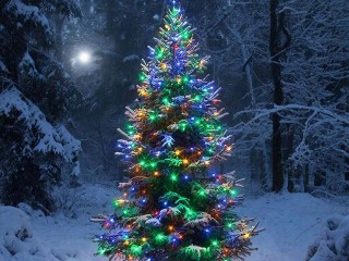 Елочка, не гори! Как встретить Новый год на даче без риска