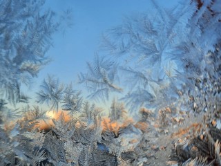 Температурный скачок с +2° до -14°: синоптик Тишковец рассказал, когда морозы нагрянут в Подмосковье
