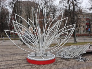 Символы чистоты, гармонии и жизни: уникальные лотосы «расцвели» в Реутове