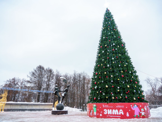 После новогодней оттепели — рождественский удар: какая погодная ловушка ждет Подмосковье в январе 2026