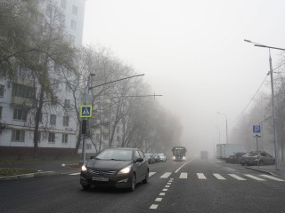 Зима закончилась? Атлантический циклон принесет плюсовую температуру в Подмосковье
