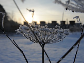 Гороскоп на 3 декабря: холодный рассвет и горячие решения, что приготовили звезды жителям Подмосковья