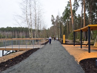 В лесах Подмосковья обустраивают площадки для отдыха и спорта