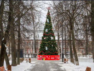 Старинные стены, горячая пастила и снега по колено (но это не точно): куда уехать из Москвы на Новый год