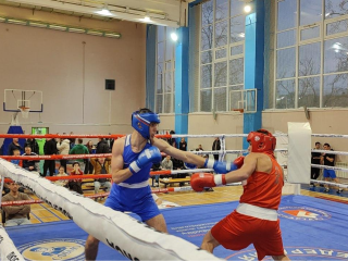 Люберецкие боксеры взяли 15 медалей на турнире памяти мастера спорта Максима Галкина