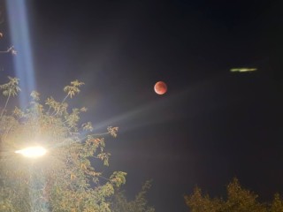 «Роковое» суперлуние 5 декабря: чем опасна «Холодная Луна» 2025 года