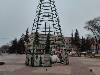 Более 700 разноцветных шаров украсят главную новогоднюю елку в Щелкове