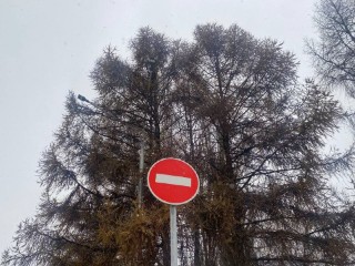 На 5 градусов теплее нормы: прогноз погоды в столичном регионе на старте недели