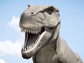 Служба отлова бродячих динозавров заступила на дежурство в Мытищах