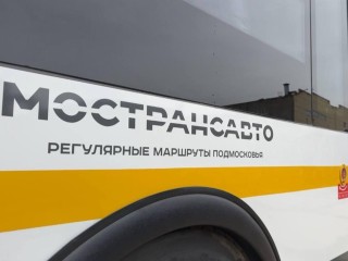 В Одинцове открылись елочные базары: схемы проезда и правила перевозки деревьев