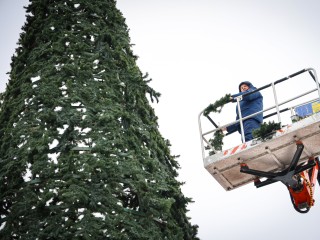 В Солнечногорске вырастет 15-метровая новогодняя елка на Советской площади