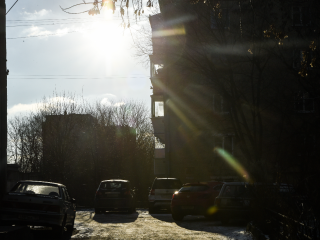 В Москве и Подмосковье до 11 декабря сохранится аномальная для конца года погода