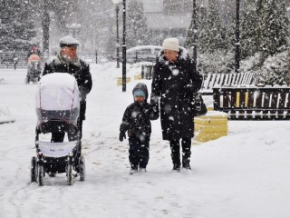 Снегопад и до -10? В Подмосковье на Новый год спрогнозировали зимнюю сказку