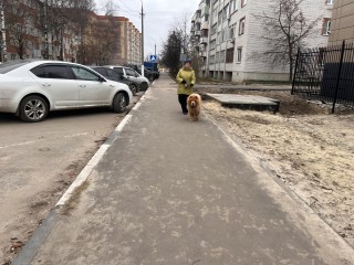 С начала года на основных дорогах Шатурского округа залатали около 12 000 ям