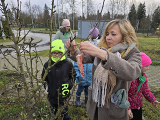 Тропаревские школьники открыли «птичий ресторан»: что в меню