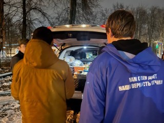 Каширские волонтеры сортировали посылки для бойцов с продуктами и сладостями