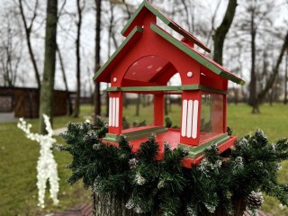 Неделя в парках: куда сходить всей семьей с 1 по 7 декабря в Серпухове