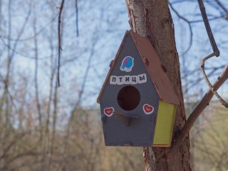 Как сделать правильную кормушку для птиц: советы, чтобы не навредить синицам зимой