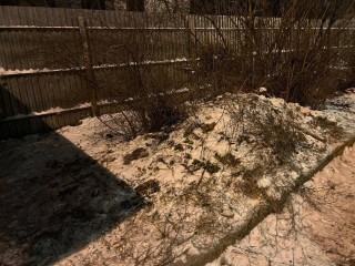 Мусор убрали на улице Островского в Пушкино по просьбе жителей