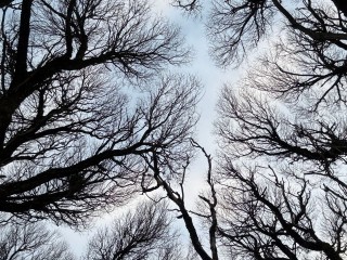 Тайные приметы на Введение: как 4 декабря привлечь деньги, избежать болезней и изменить судьбу. Предки знали!