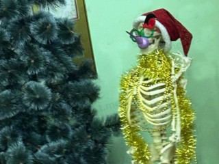 В Егорьевске школьники решили украсить скелет мишурой и добавить ему «перчинки»