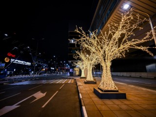 К прилету волшебных саней готовы: как аэропорт Шереметьево превратился в портал в новогоднюю сказку