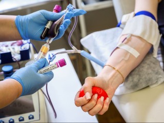 Как подарить жизнь и новогоднее чудо: подмосковные больницы нуждаются в крови IV отрицательной группы