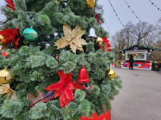 Зима в Подмосковье: новогодние елки, баннеры и световые инсталляции установили в Чехове