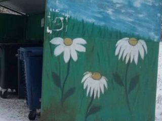 Не серо и не скучно: в Ольховке контейнерную площадку превратили в уличный арт-объект