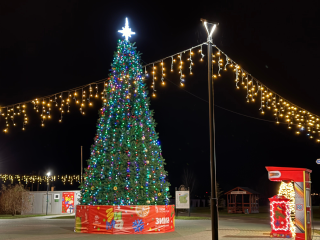 Пять дней до Нового года: репетицию праздника устроят в парке 27 декабря