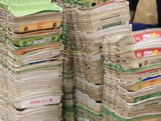 Переработка с выгодой: как сдать мусор и получить бонусы 6 декабря в Одинцове