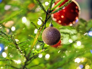 Купить и не засушить: три правила ухода, которые спасут новогодние хвойные ветки от быстрой гибели