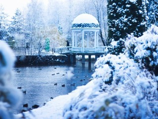 Подмосковье утонет в снегу? Когда в регионе выпадут осадки