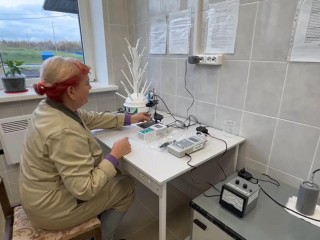 От крана до лаборатории: зачем в Можайске отобрали более 1,1 тыс. проб питьевой воды