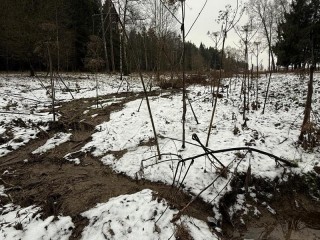 Воды текут не туда: эконадзор выявил сброс на участке гольф-курорта и объявил владельцам земли официальное предостережение