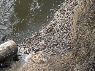 Река из шланга: как в технопарке «Коробово» устроили несанкционированный водный поток