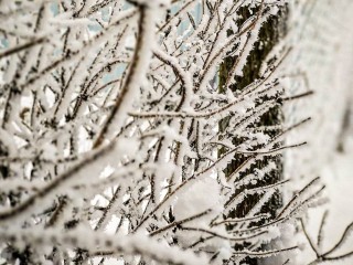 В Подмосковье возвращаются морозы: когда ударят морозы до –10 и начнется метеозима