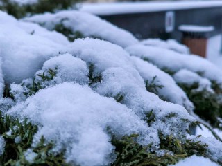 Зима без шансов на оттепель: к этому дню ударят морозы до −8°C