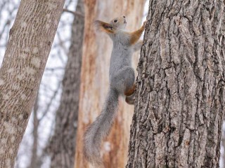 Хотели как лучше, а нарвались на штраф? Что ни в коем случае нельзя делать в парках