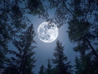 Лунный финал: почему именно ночь на 5 декабря в 2025 году стоит провести у окна