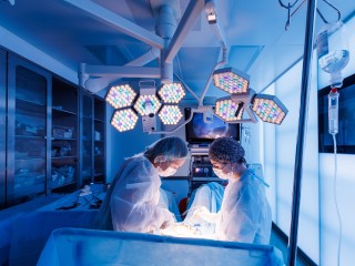 Опухоль размером с беременность: медики еле спасли женщину, 15 лет бегавшую от гинекологов