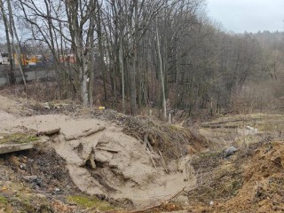 Экологи против банкрота: как в Дмитровском округе отстояли ₽71 млн за ущерб природе